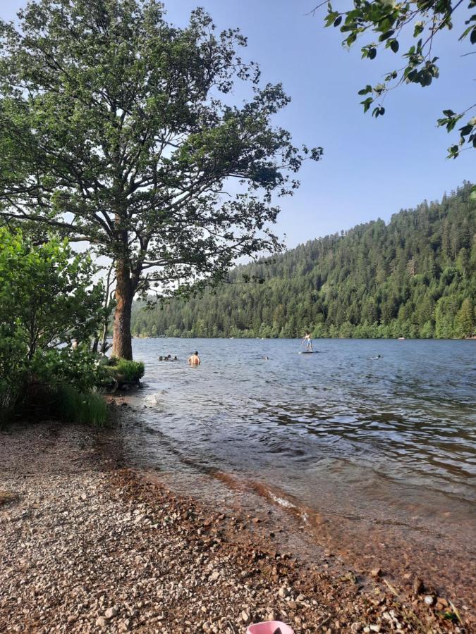 Au Coeur Des Lacs - Chambres D'Hotes Gerardmer Luaran gambar