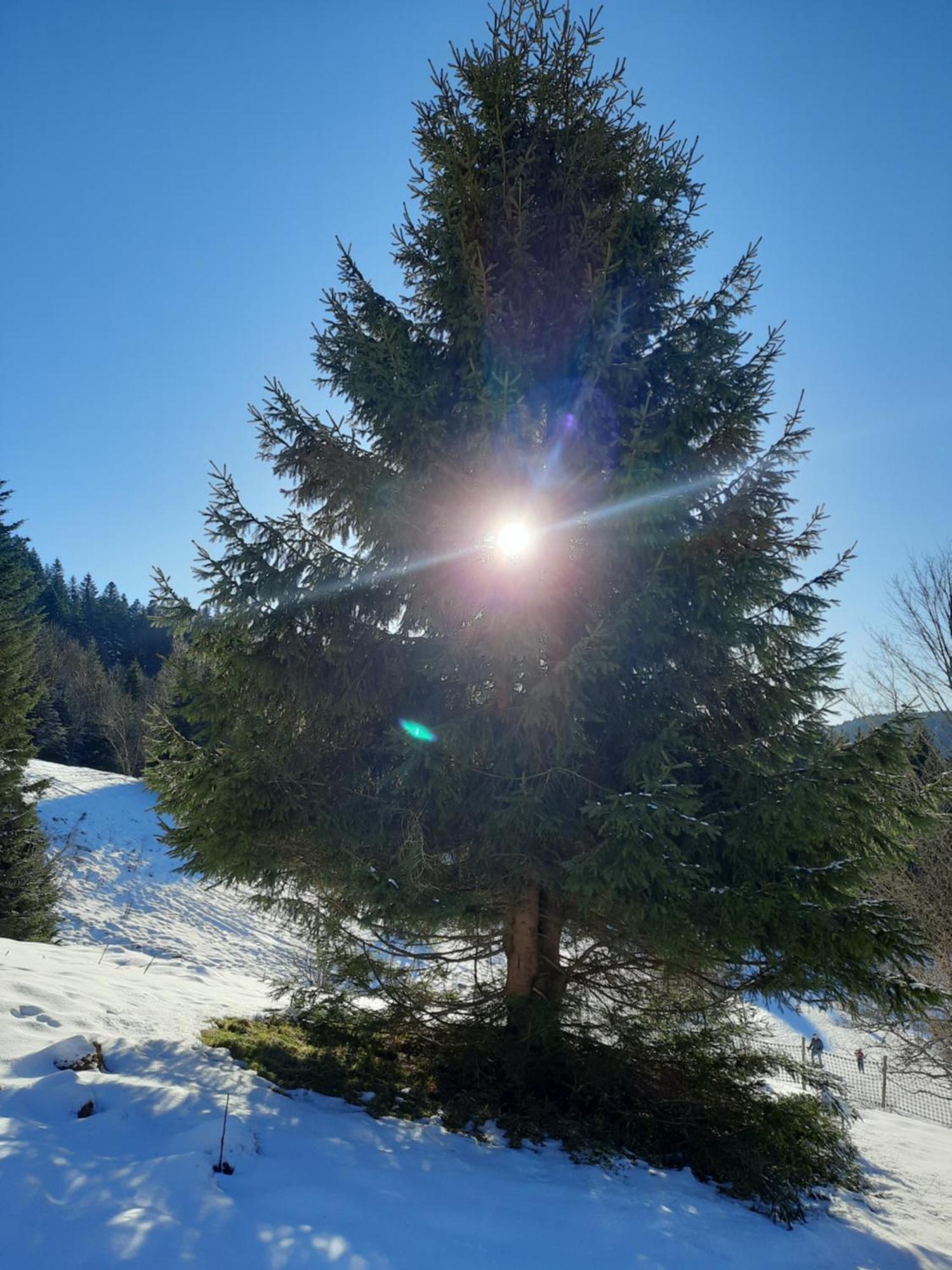 Au Coeur Des Lacs - Chambres D'Hotes Gerardmer Luaran gambar