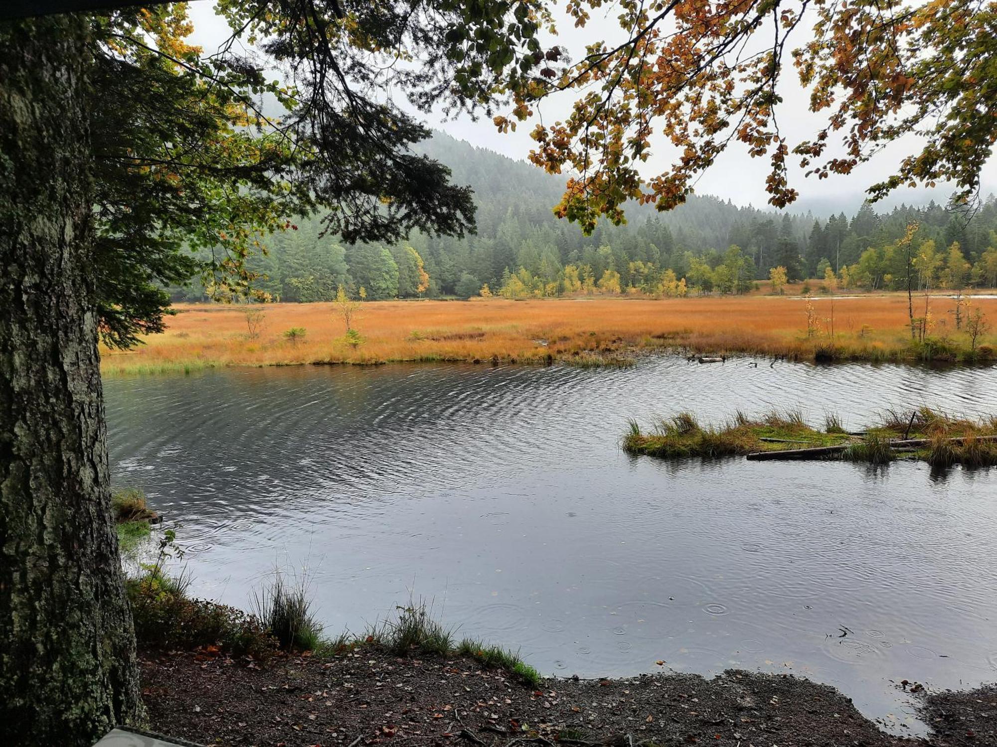 Au Coeur Des Lacs - Chambres D'Hotes Gerardmer Luaran gambar
